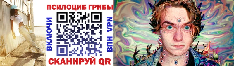Псилоцибиновые грибы Cubensis купить закладку ОМГ ОМГ ссылка Новоульяновск